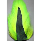Bucktail