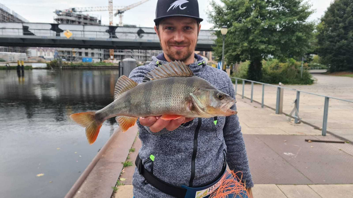 Baitfish Natural Perch