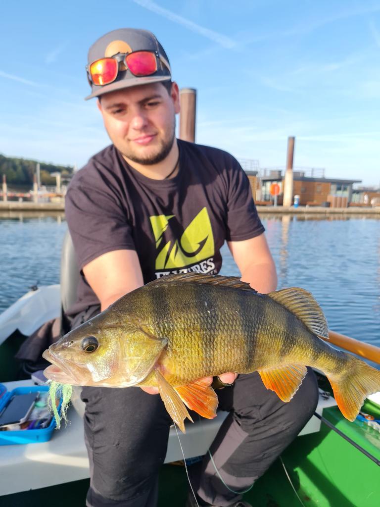 Baitfish Perch Lime Tiny