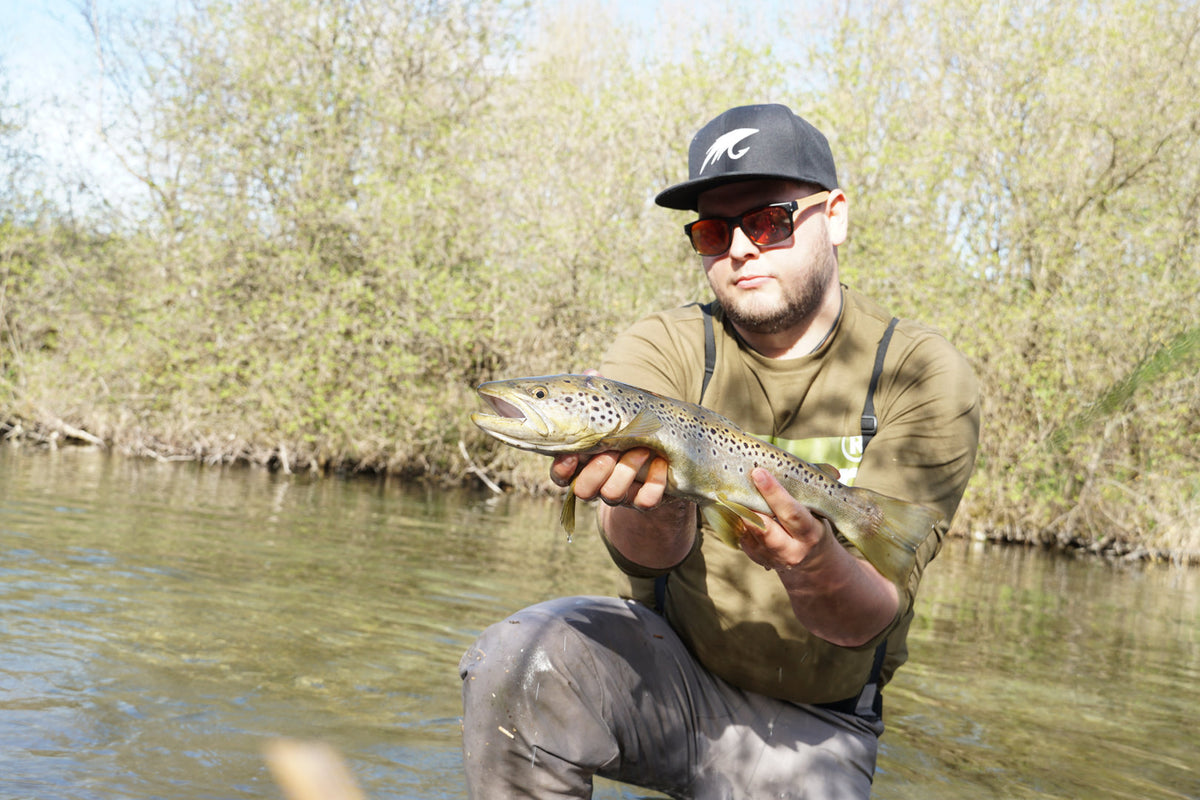 Trockenfliege Elk Caddis