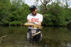 Trockenfliege Goddard Caddis hell