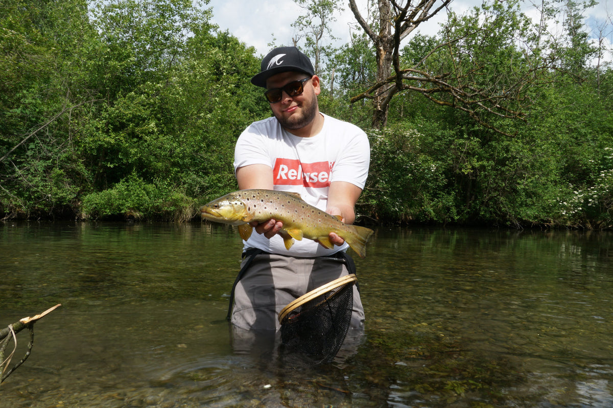 Trockenfliege Goddard Caddis hell