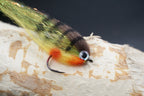 Baitfish Perch