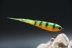 (R) Toxic Perch