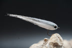 (R) Ripple Minnow