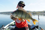Baitfish Baby Bass Tiny
