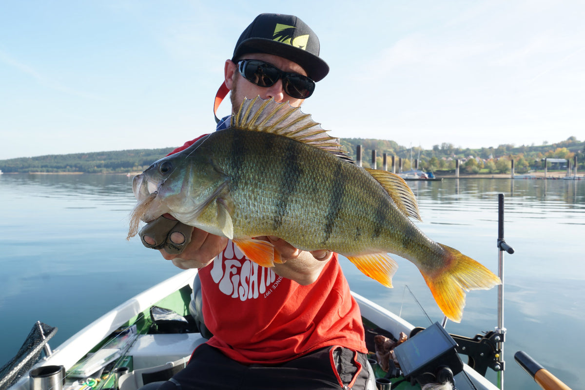 Baitfish Baby Bass Tiny