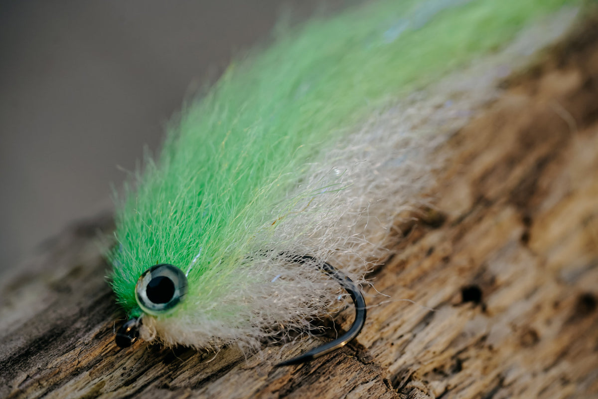 Baitfish Perch Lime