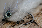 Baitfish Grey Back