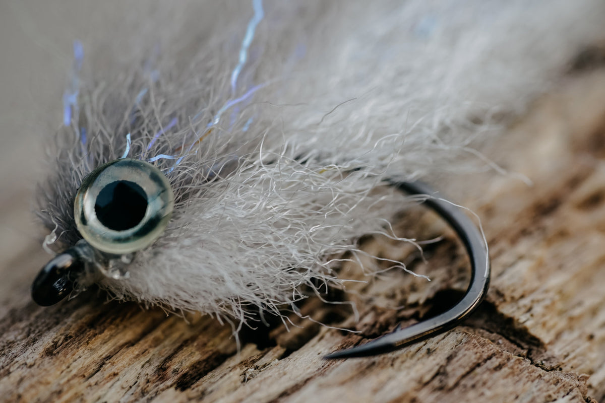 Baitfish Grey Back