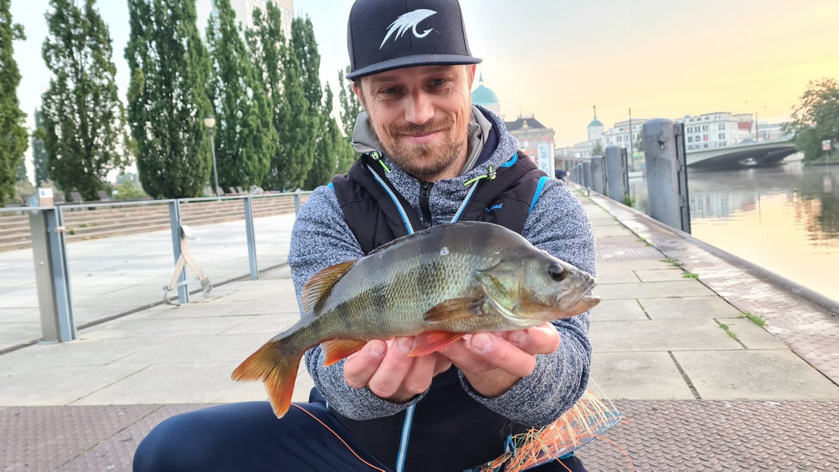 Baitfish Baby Bass