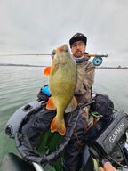 Baitfish EK Spezial