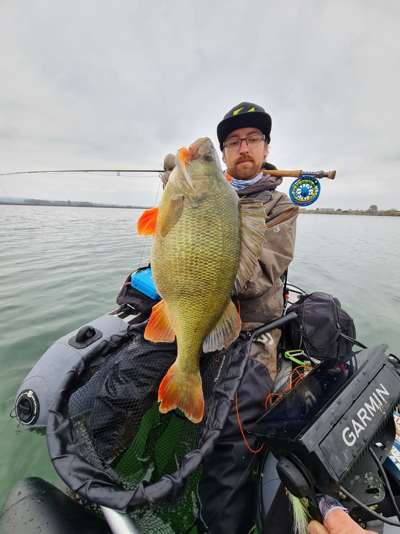 Baitfish EK Spezial