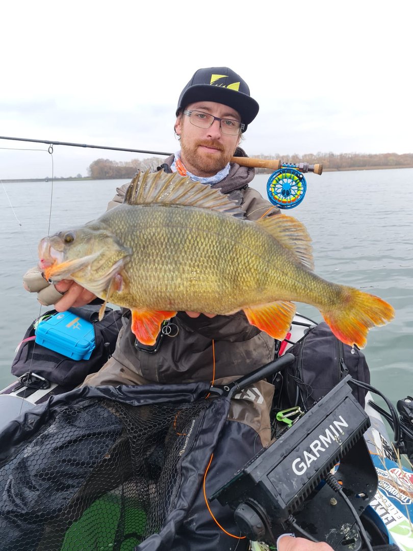 Baitfish EK Spezial