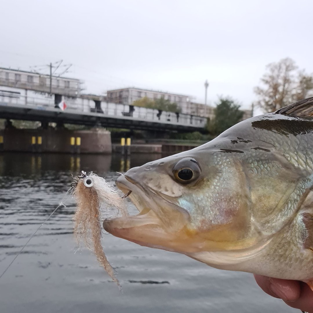 Baitfish Copper Rocker