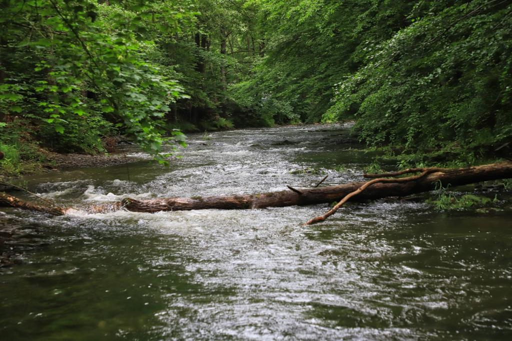 Fluss