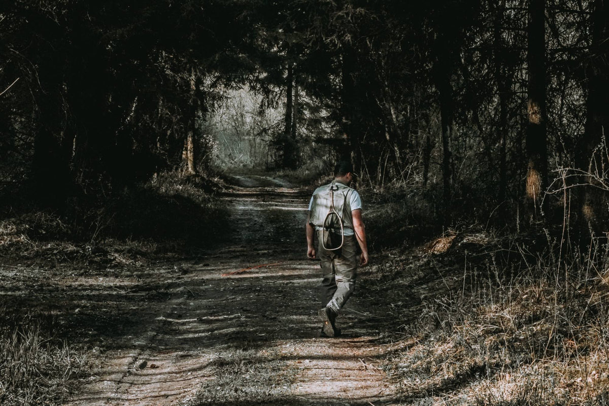 flylures-weg-wald.jpg