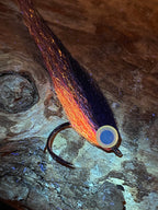 (R) Dirty Roach