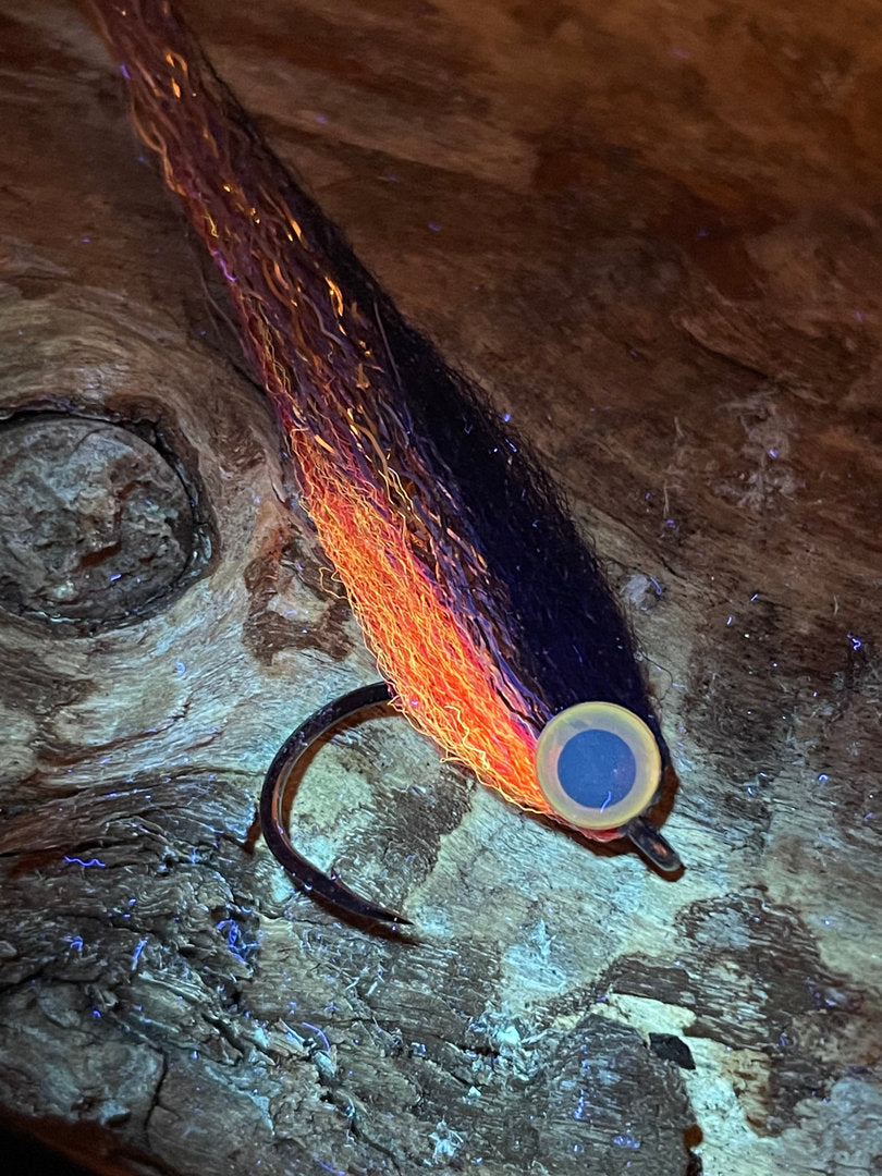 (R) Dirty Roach