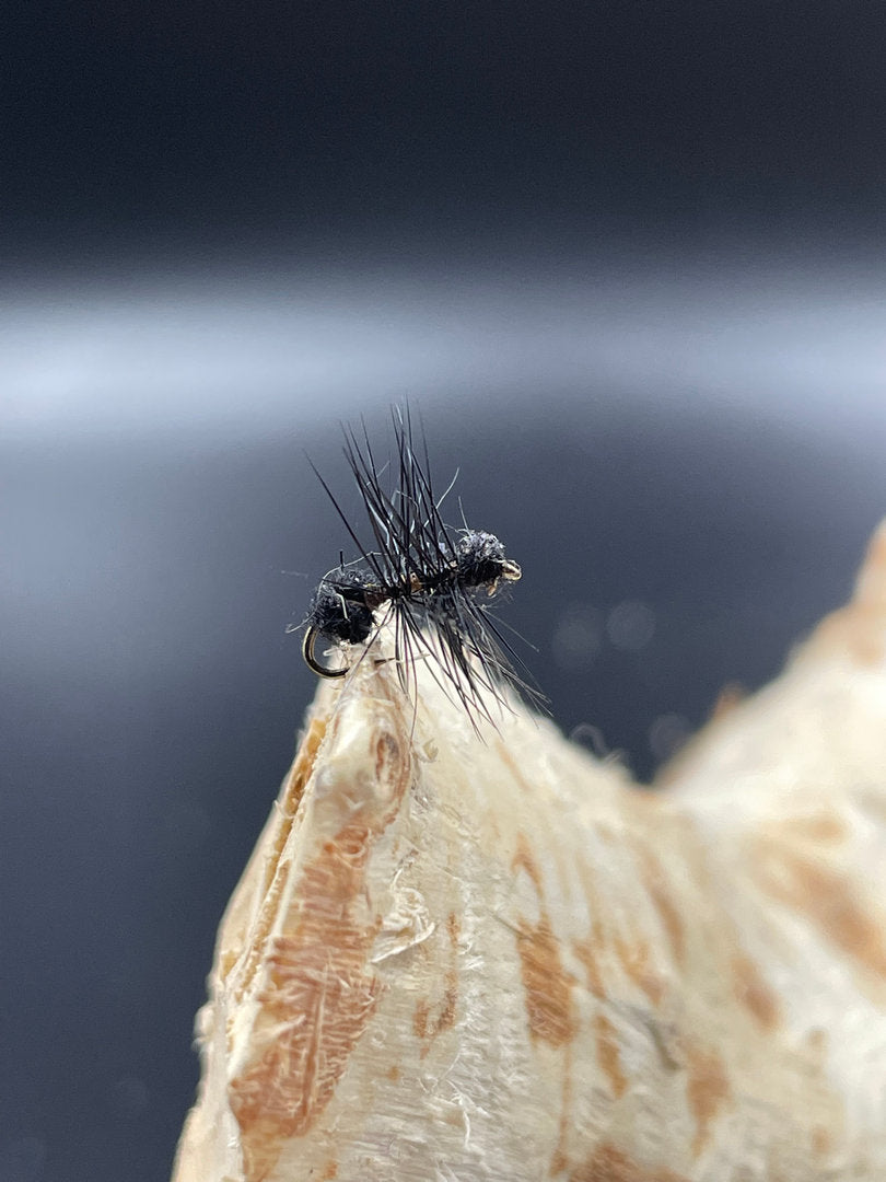 Trockenfliege Black Ant / Ameise