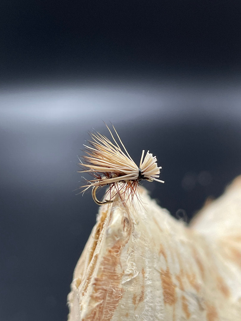 Trockenfliege Elk Caddis