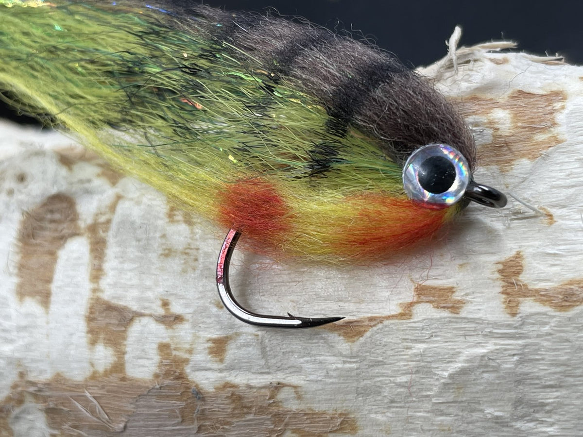 Baitfish Perch
