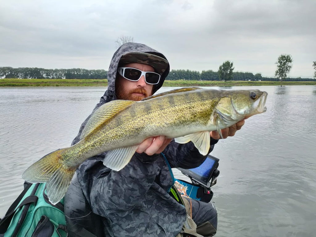 Baitfish Orange GoGo