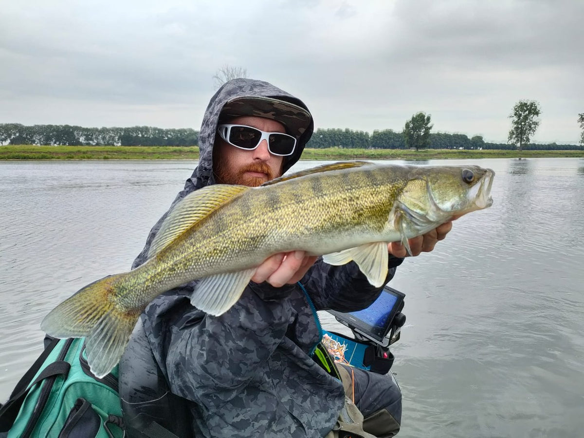 Baitfish Orange GoGo