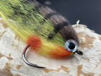 Baitfish Perch