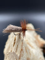 Trockenfliege Goddard Caddis hell