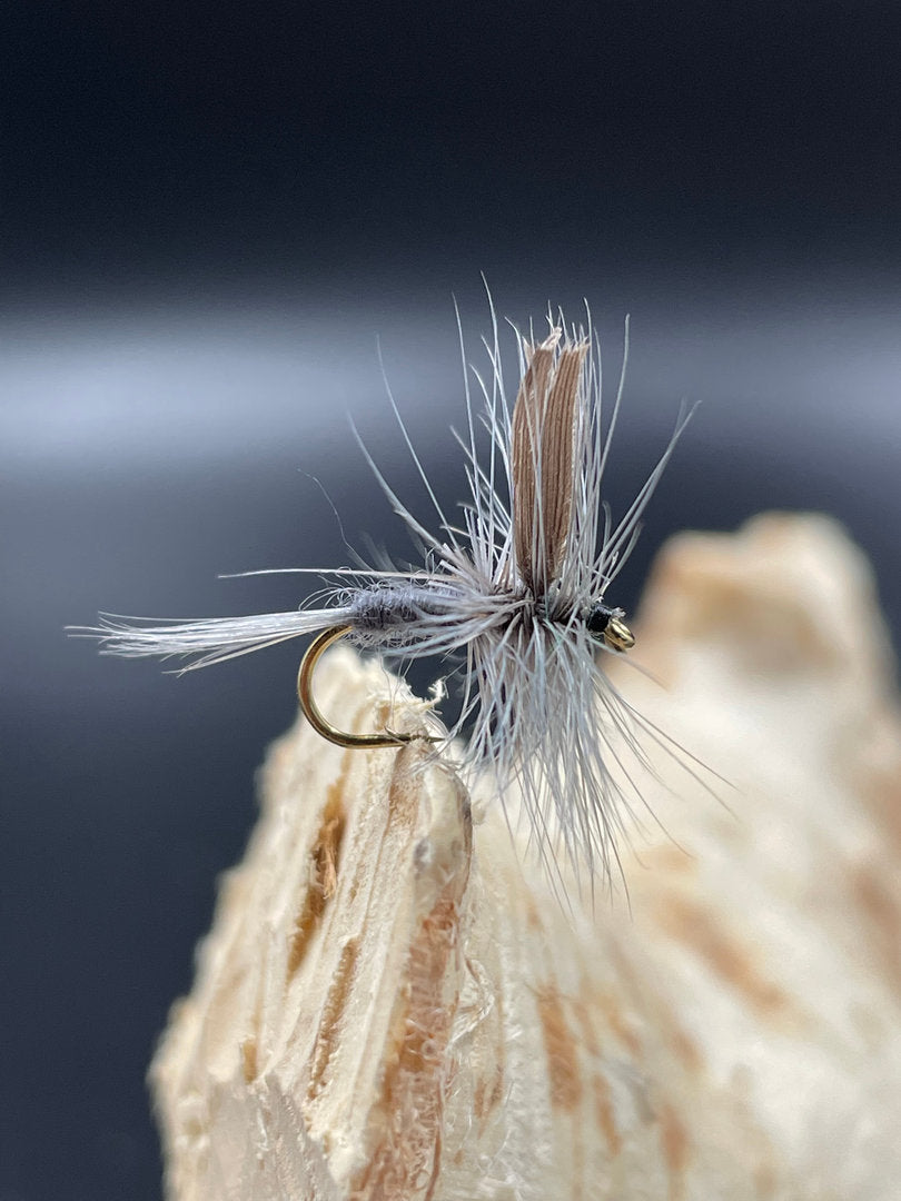 Trockenfliege Blue Dun