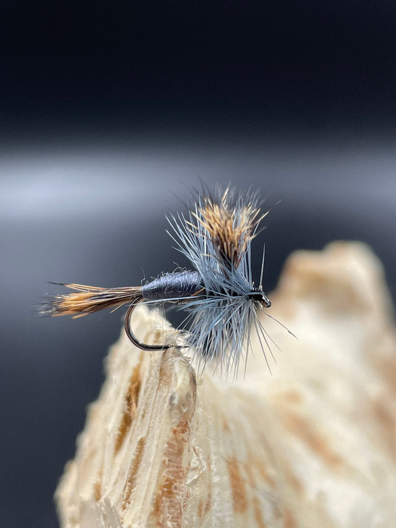 Trockenfliege Gray Wulff