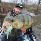 Baitfish Perch Lime