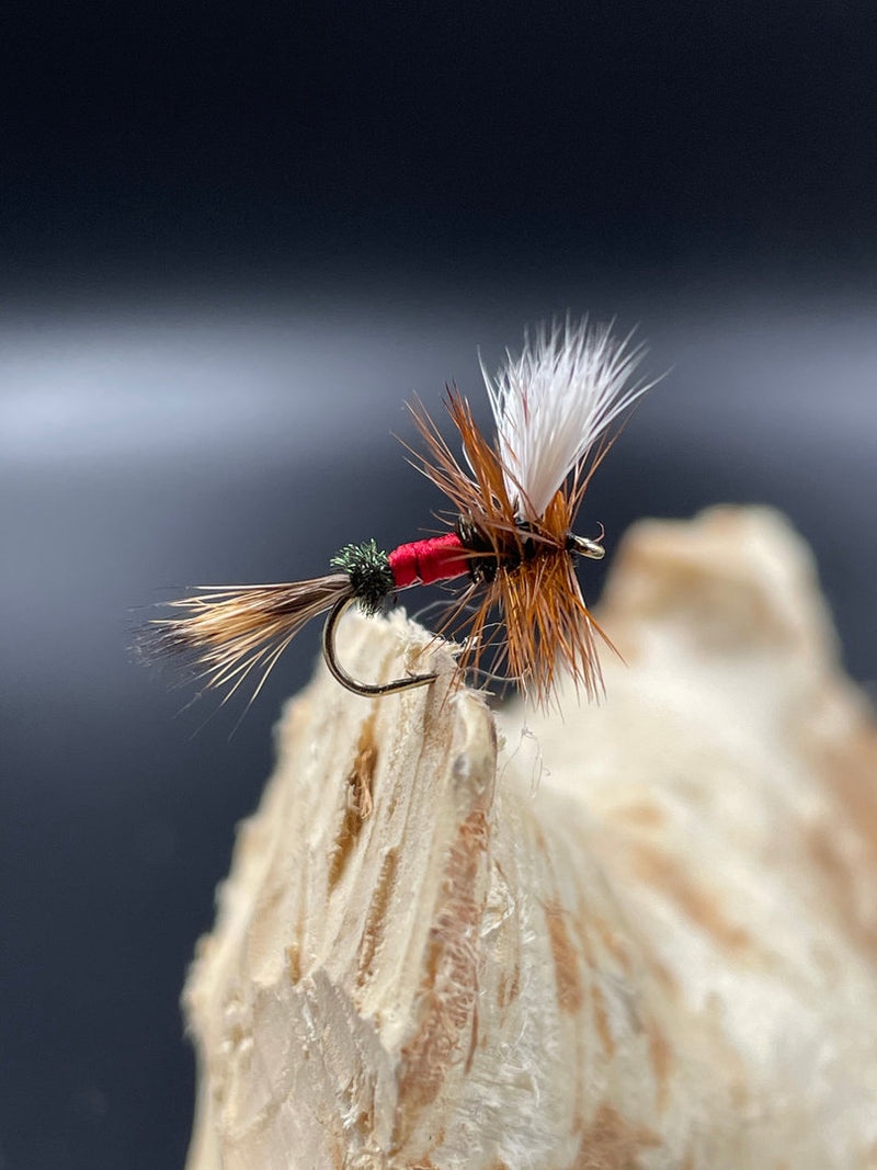 Trockenfliege Royal Wulff