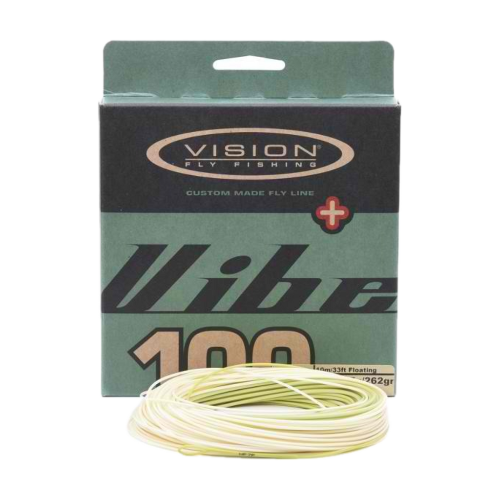 Vision Vibe100+